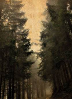 Rauhnacht (AUT) : Zur ew'gen Ruh (2014)